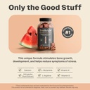 truheight-growth-gummies-watermelon-tall-5.jpg