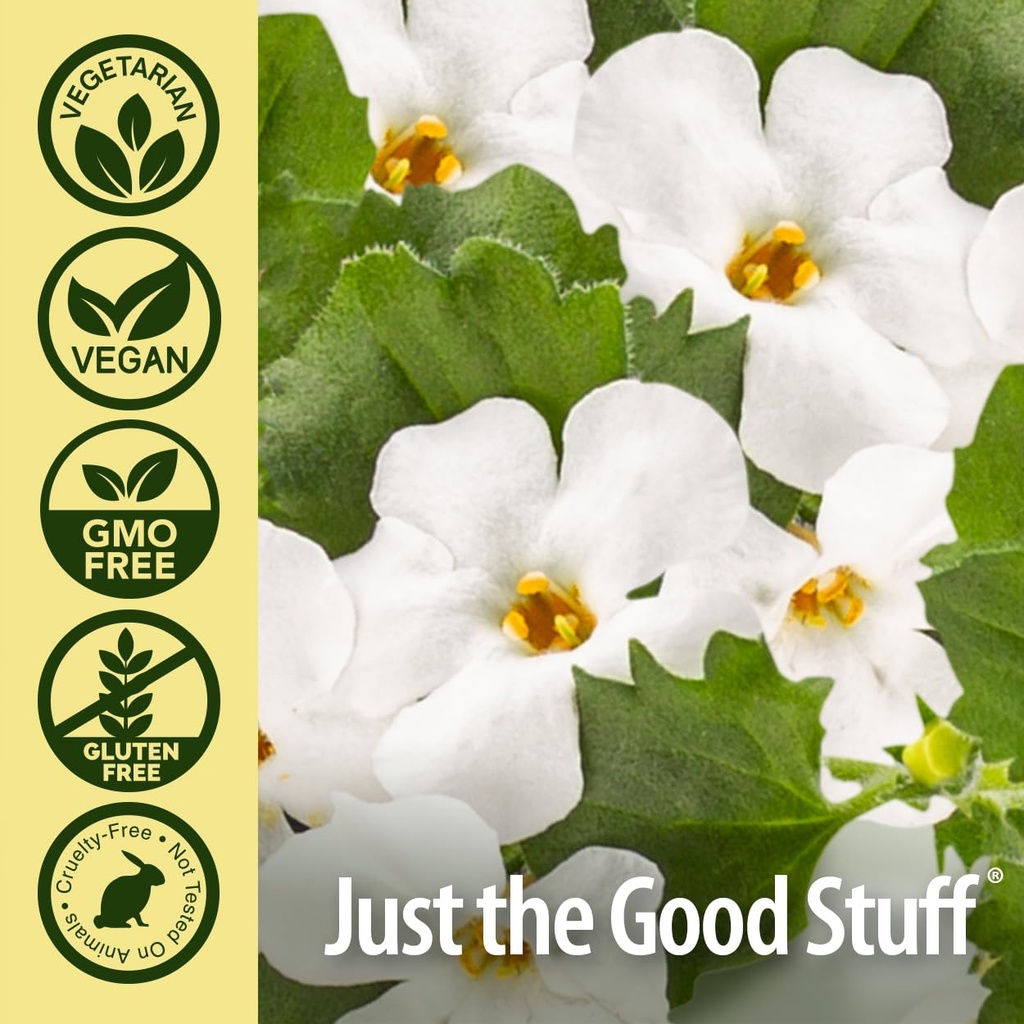 nature-s-answer-bacopa-monnieri-helps-im-5.jpg