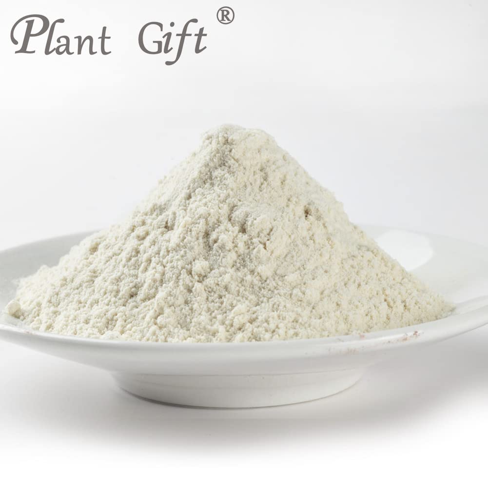 plant-gift-100-pure-euryales-semen-powde-3.jpg