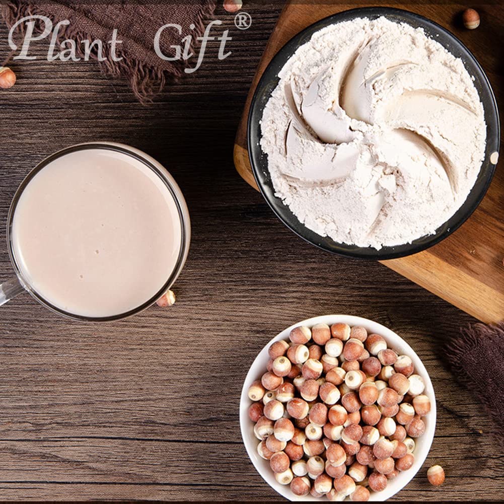 plant-gift-100-pure-euryales-semen-powde-6.jpg