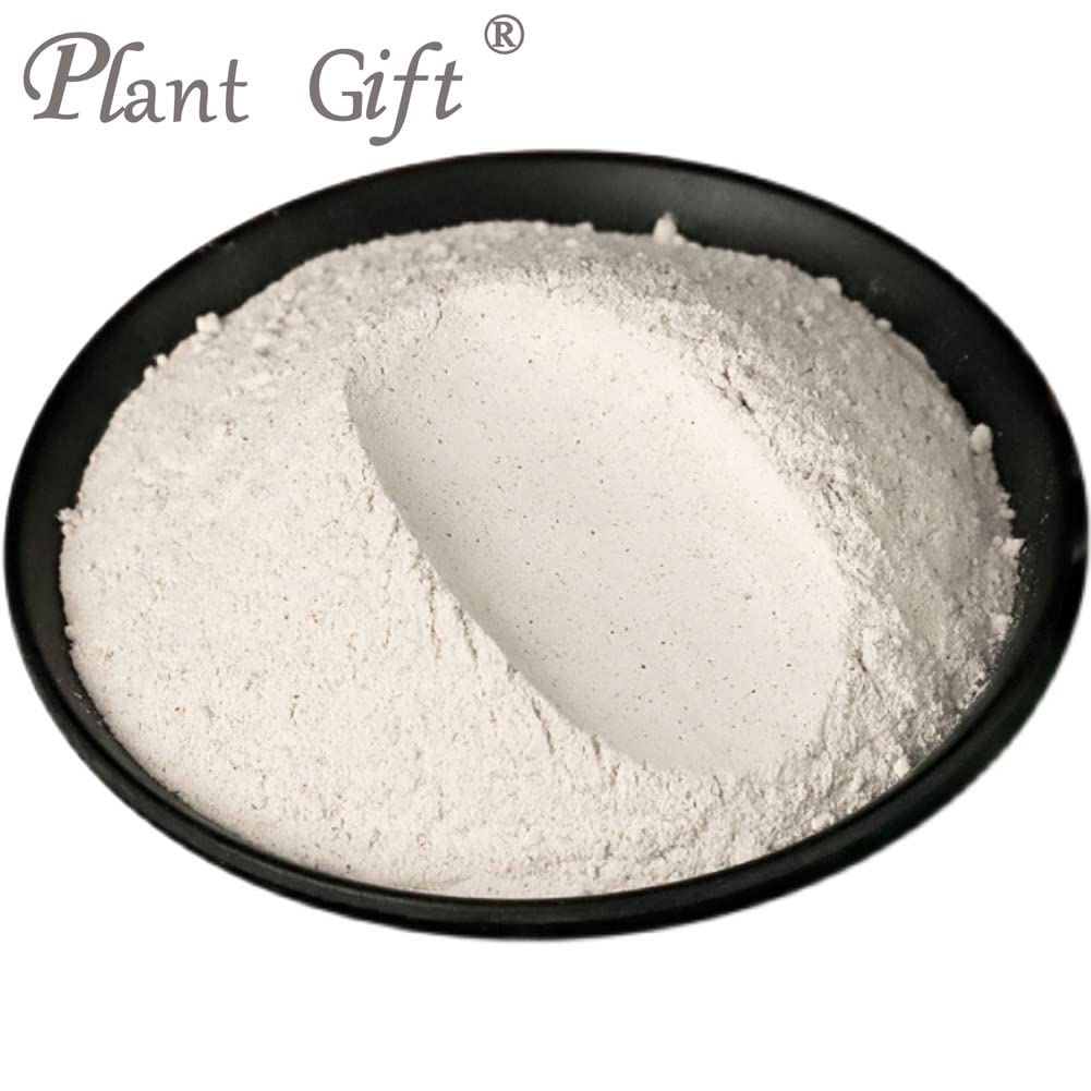 plant-gift-100-pure-euryales-semen-powde-4.jpg