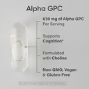 sports-research-brain-support-pack-extra-3.jpg