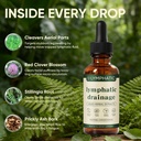 lymphatic-drainage-drops-bloat-relief-de-3.jpg