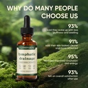 lymphatic-drainage-drops-bloat-relief-de-6.jpg