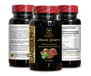 candida-support-supplement-digestive-hea-4.jpg