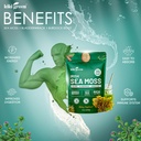 kiki-green-sea-moss-powder-bundle-immune-5.jpg