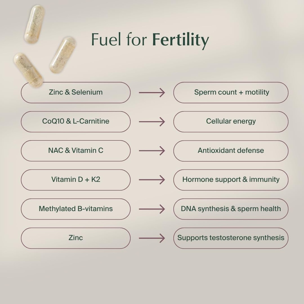 wenatal-for-him-prenatal-multivitamin-cl-5.jpg