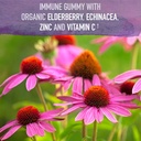 garden-of-life-organics-elderberry-gummi-4.jpg