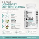 nad-matrix-cellular-longevity-formula-na-3.jpg