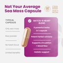 healthy-herbs-wildcrafted-sea-moss-capsu-6.jpg