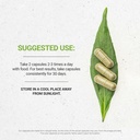 secrets-of-the-tribe-ashwagandha-usda-or-3.jpg