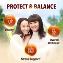 labo-nutrition-bioactive-organic-lingzhi-2.jpg