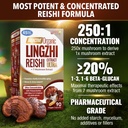 labo-nutrition-bioactive-organic-lingzhi-3.jpg