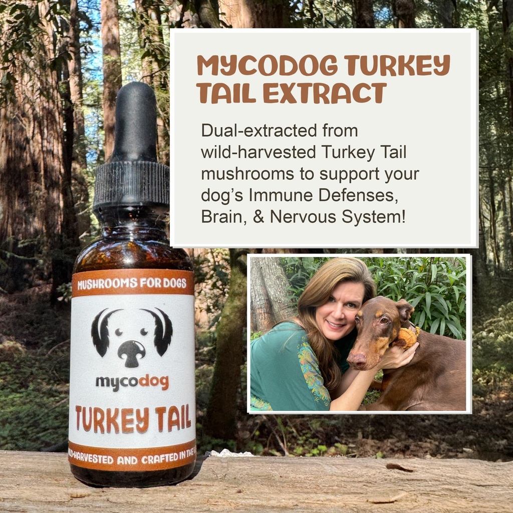 mycodog-turkey-tail-mushroom-for-dogs-im-2.jpg