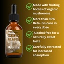 lion-s-mane-mushroom-liquid-extract-high-3.jpg