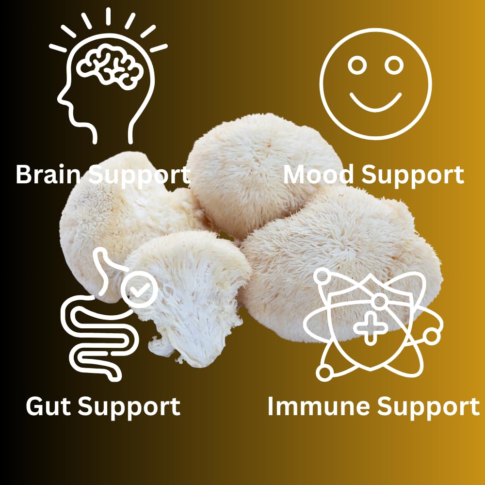 lion-s-mane-mushroom-liquid-extract-high-4.jpg