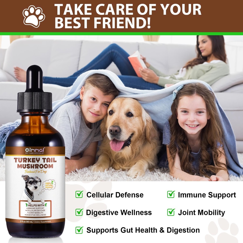 turkey-tail-mushroom-for-dogs-mushroom-b-3.jpg