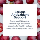 designs-for-health-essentiagreens-and-re-5.jpg