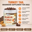 turkey-tail-mushroom-for-dogs-tailsphere-2.jpg