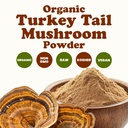 food-to-live-organic-turkey-tail-mushroo-4.jpg
