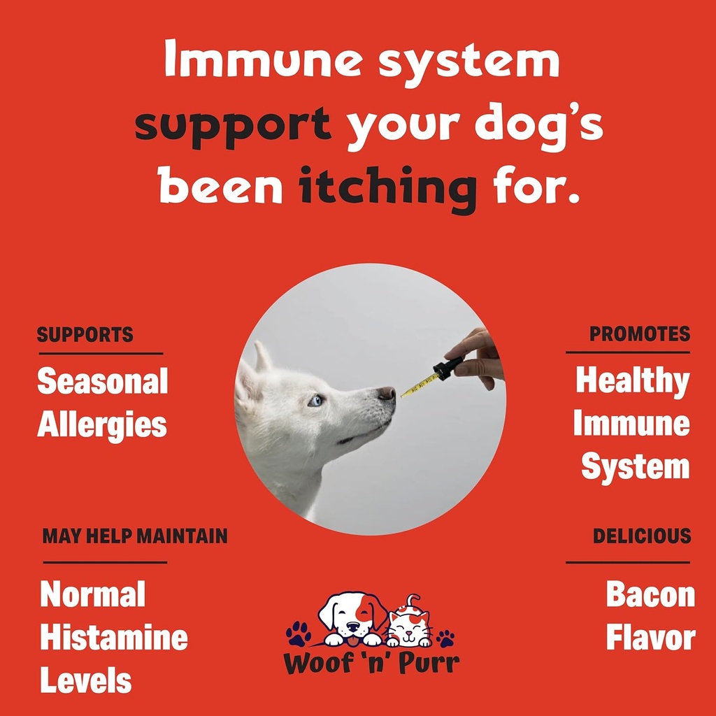 dog-antibiotics-for-infection-coughs-uti-3.jpg