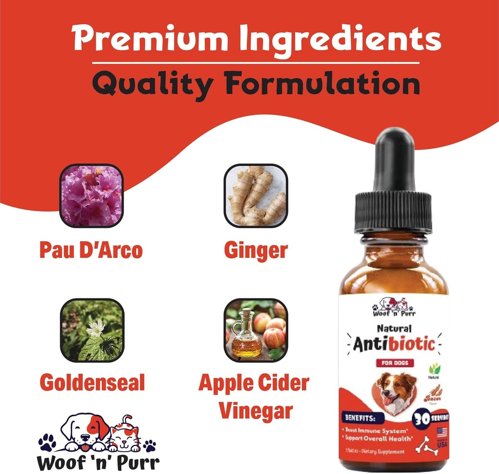 dog-antibiotics-for-infection-coughs-uti-5.jpg