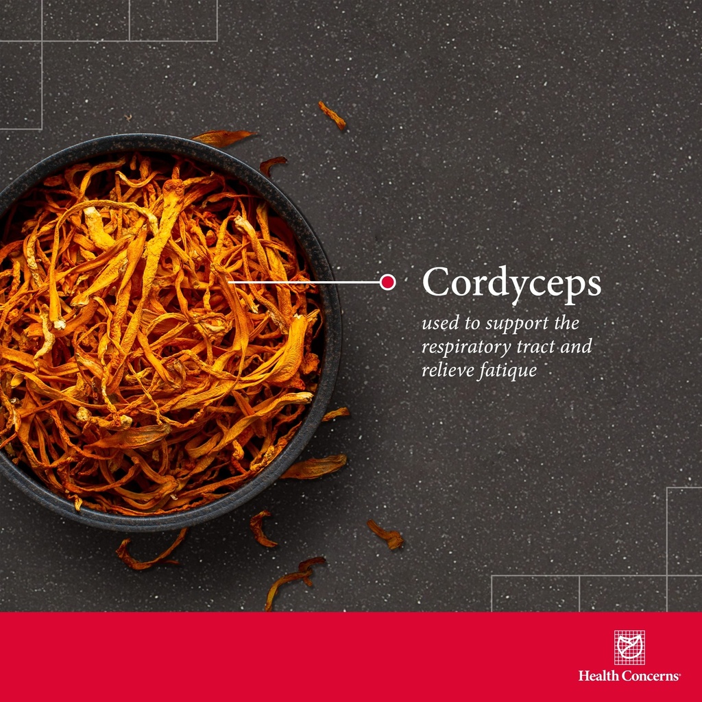 health-concerns-cordyceps-ps-lung-suppor-3.jpg