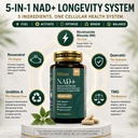 otium-nad-supplement-for-women-men-1000m-2.jpg