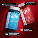 goli-power-wellness-duo-for-stress-welln-4.jpg