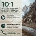 jungle-powders-herbal-powders-bundle-shi-3.jpg