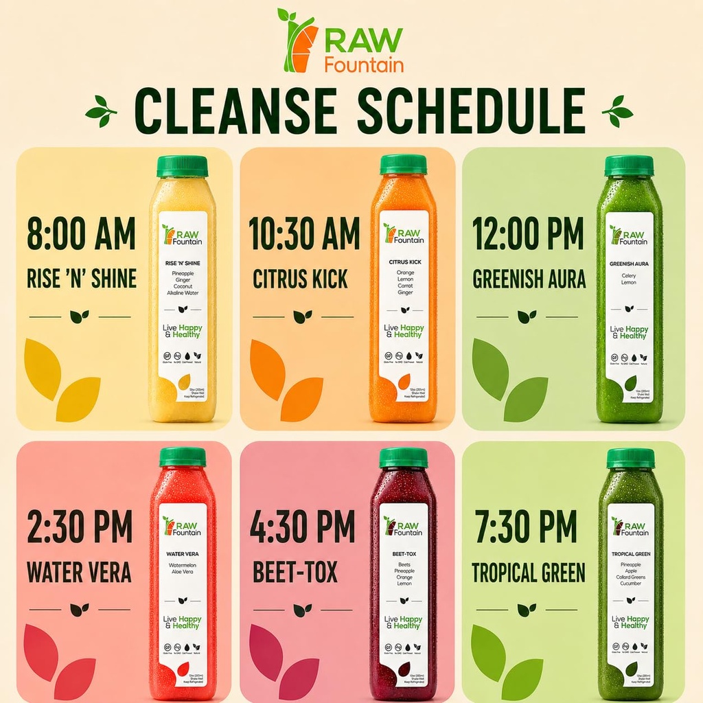3-day-juice-cleanse-by-raw-fountain-trop-5.jpg