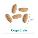 nutricology-cognibrain-supplement-memory-5.jpg