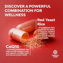 bundle-of-red-yeast-rice-with-coq10-supp-6.jpg