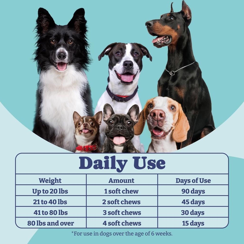probiotics-for-dogs-dog-probiotics-and-d-5.jpg