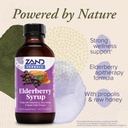 zand-herbals-elderberry-syrup-wellness-s-3.jpg