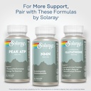 solaray-nmn-supplement-500-mg-precursor--6.jpg