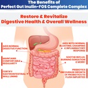 kidney-restore-perfect-gut-inulin-fos-po-4.jpg