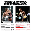 creatine-gummies-potent-creatine-monohyd-3.jpg