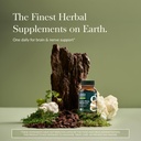 gaia-herbs-lion-s-mane-mushroom-brain-he-2.jpg