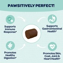 ready-pet-go-omega-3-allergy-chews-for-d-5.jpg