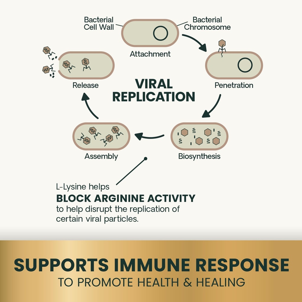 vetriscience-lysine-immunity-health-chew-5.jpg