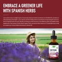 chloro-organic-saffron-crocus-sativus-dr-6.jpg