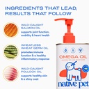 native-pet-omega-3-fish-oil-for-dogs-8oz-5.jpg