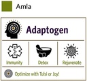 organic-india-amla-powder-holy-basil-imm-6.jpg
