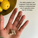 moon-juice-superpower-immune-support-sup-2.jpg