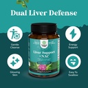 bundle-of-pomegranate-extract-capsules-a-5.jpg