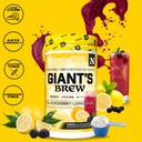 nutrithority-giant-s-brew-advanced-pre-w-4.jpg