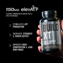 jacked-factory-androsurge-estrogen-block-4.jpg