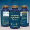 nature-s-wonder-berberine-phytosome-550--6.jpg