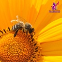 pure-bee-pollen-4oz-113g-100-bee-pollen--4.jpg